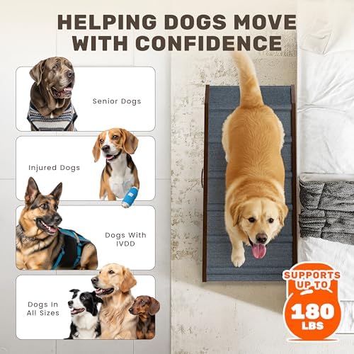 Foldable Dog Ramp for Couch - Image 6