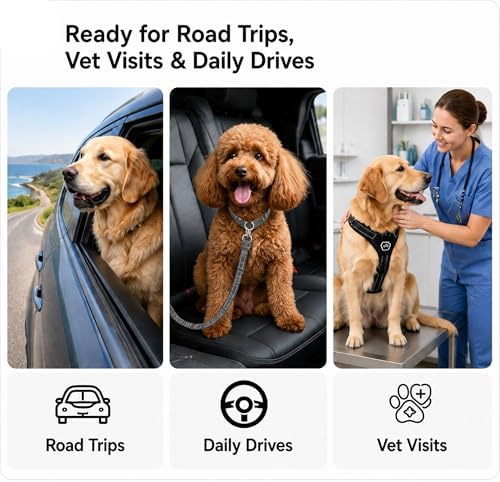 Dog Travel Tether 2Pcs, Adjustable Pet Travel Connector Strap - Image 7
