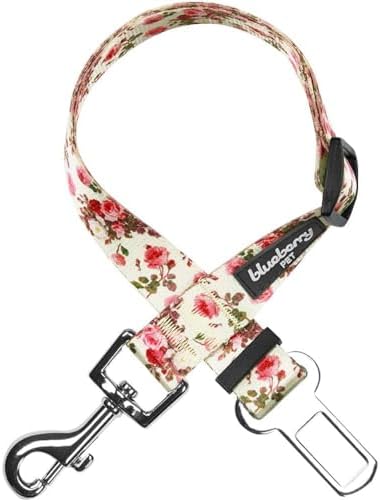 Collars