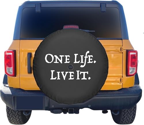 Spare Tire Wheel Cover with Backup Camera Hole - Image 3