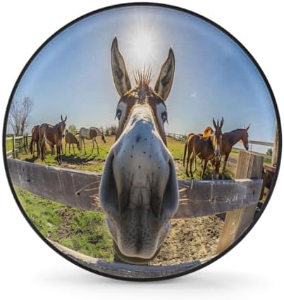 Rv Spare Tire Cover Wheel Funny Animal Donkey Tire Covers Wheel Protectors by FengQuGou