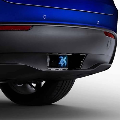 Turtle Car Towing Hitch Covers - Image 4