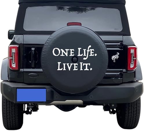 Spare Tire Wheel Cover with Backup Camera Hole - Image 4