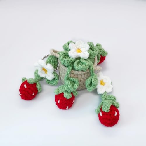 Cute Crochet Daisy Strawberry Hanging Plant - Image 4