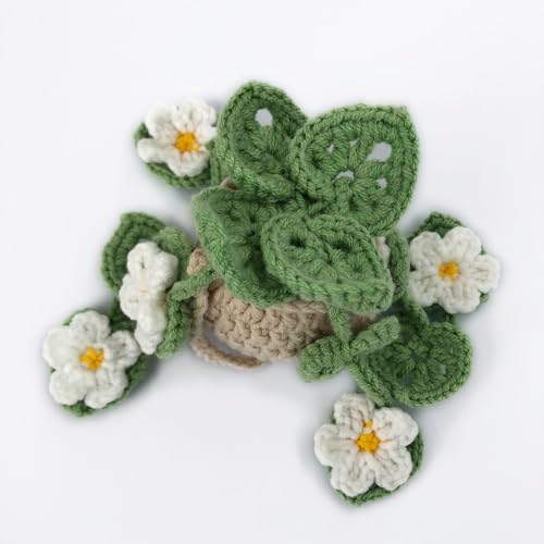 Cute Crochet Hanging Succulent Plant - Image 4