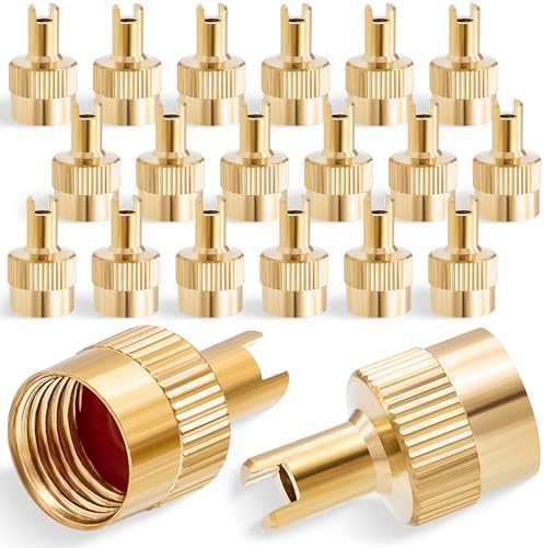 20PCS Tire Valve Stem Caps, Nickel Brass Slotted Slot Valve Stem Caps by MEAJOO