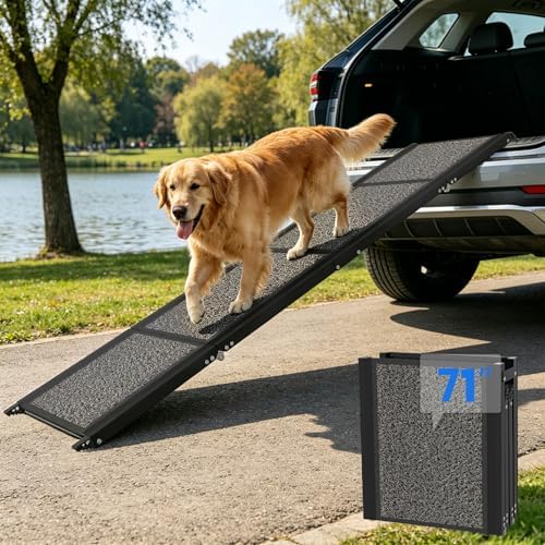 Dog Ramp for Car by Unknown