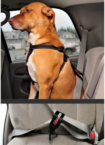 EzyDog Universal Dog Seat Belt Restraint - Image 4