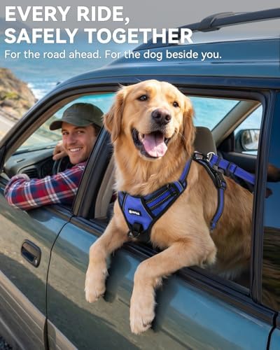 Joytale 3-in-1 Bungee Dog Seat Belt - Image 4