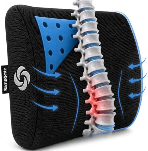 Samsonite Memory Foam Lumbar Support Pillow by Unknown
