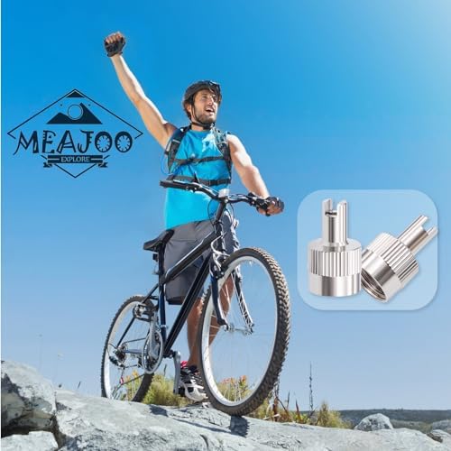 6PCS Tire Valve Stem Caps, Nickel Brass Slotted Slot Valve Stem Caps - Image 5