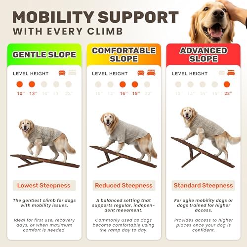 Foldable Dog Ramp for Couch - Image 3