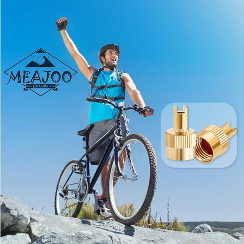 6PCS Tire Valve Stem Caps, Nickel Brass Slotted Slot Valve Stem Caps - Image 5