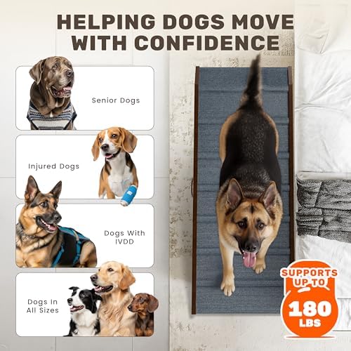 Foldable Dog Ramp for Couch - Image 6