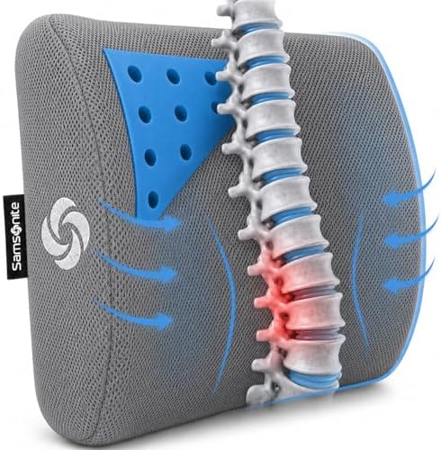 Samsonite Memory Foam Lumbar Support Pillow by Unknown